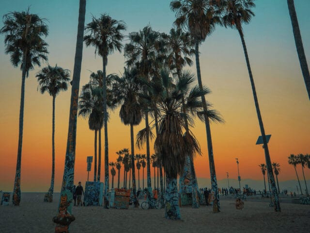 Your Gateway to Local Excellence